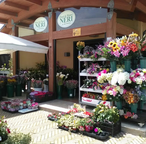 Neri piante e fiori roseto degli abruzzi
